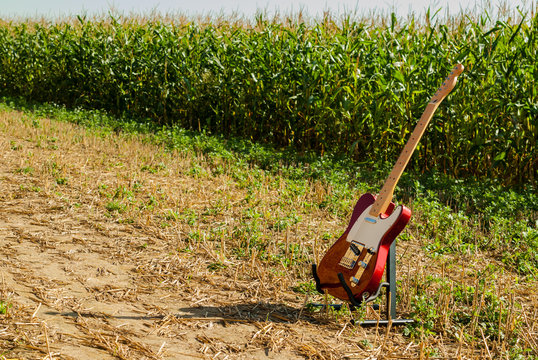Guitar telecaster in red color against the background of a cornfield