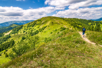Fototapeta premium Spring landscape with grassy meadows and the mountain peaks, blue sky with clouds in the background. The Donovaly area in Velka Fatra National Park, Slovakia, Europe.