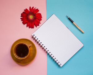 minimalist Flat lay, pastel colors, gerbera, Cup, notebook, pen, copy space