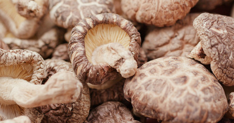 Stack of Dry mushroom