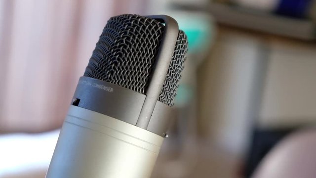 Condensor mic close up