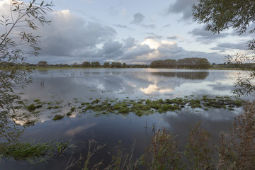 Flooded field on the Somerset Levels