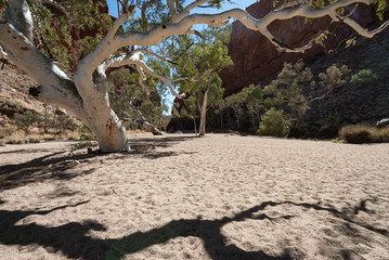 Creek and Gorge, West MacDonnell Range National Park, Northern Territories, Australia