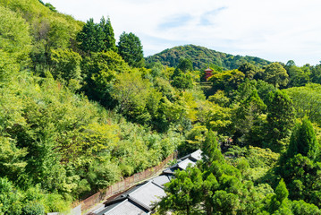 Fototapeta na wymiar 清水寺(Kiyomizudera -Temple)