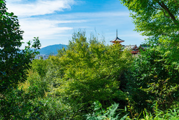 清水寺(Kiyomizudera -Temple)