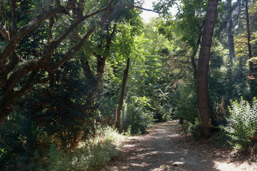 i'm lost and i do not care