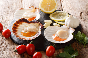 set of products for cooking: raw scallops in a shell and tomatoes, garlic, parsley and lemon close-up on a table. horizontal