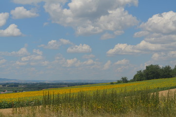 Fototapeta premium PUY DE DDME