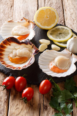 Fresh scallops in a shell with vegetable ingredients close-up. vertical