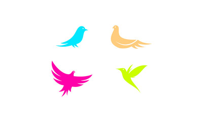 Beauty Bird vector