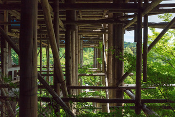 Obraz premium 清水寺(Kiyomizudera-Temple)