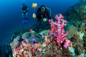 Naklejka na ściany i meble SCUBA divers on a tropical coral reef