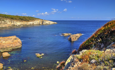 Beautiful landscape on rocky shore