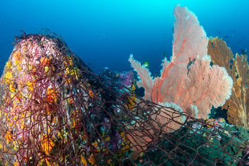 Abandoned Ghost fishing nets on a tropical coral reef