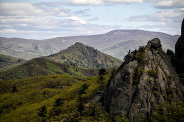 Mountain forest nature