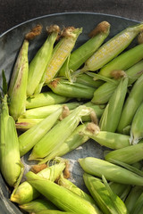 Fresh Ears of Corn on the Cob in Bucket at Market for Sale
