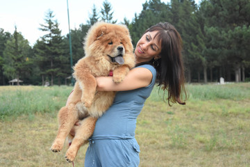 Woman play with chow chow dog in park. Woman and dog in park