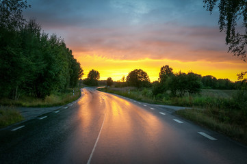 Summer sunset over the road - obrazy, fototapety, plakaty