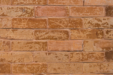 Fototapeta premium Orange wall in East Asian University