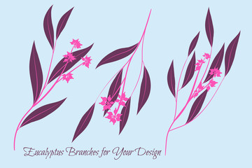 Eucalyptus Vector. Decorative Vector Leaves and Branches. Elegant Foliage. Beautiful Floral Element for Wedding Design. Tropical Plants. Flowers Isolated and Eucalyptus Vector for Card, Invitation.