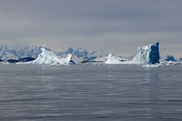 Icebergs Floating Off the Coast of Antarctica