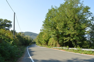 panorama