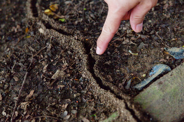 Man points with his finger at the ant's path on the ground.
