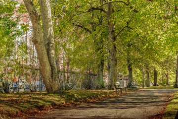 The beautiful Haflix Public Gardens in downtown Halifax, Nova Scotia, Canada, the oldest Victorian Garden in North America