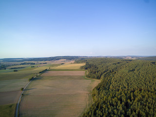Stressfrei in den Wald und die Natur genießen