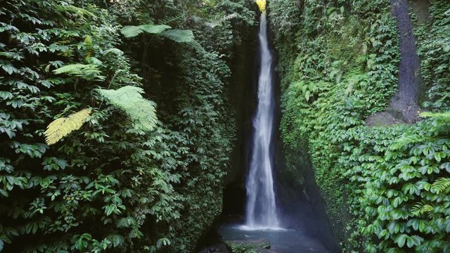 Tropical forest and waterfall. Lele leke waterfall in Bali, Indonesia.