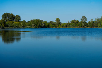 Fototapeta na wymiar lake in a nature reserve in rhineland-palatinate 