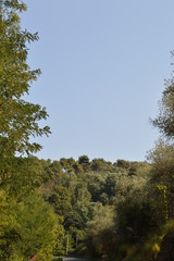 natura