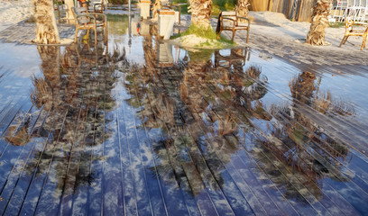 Reflection of palm trees in the water on a wooden beach path