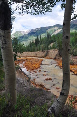 Pine Trees Frame a Creek that has been Polluted by Mining Tailings