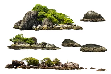 Foto op Canvas The trees on the island and rocks. Isolated on White background © ธานี สุวรรณรัตน์