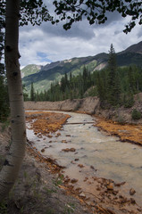 Creek Near Ouray, Colorado