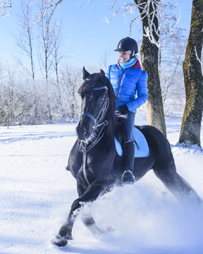 Pferd und Reiterin haben Spass im Schnee