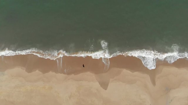 Drone steady looking directly down to waves crushing while bird flies between drone and ocean