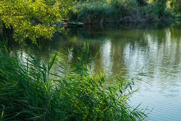 Fischerboot an einem weiher im Sommer