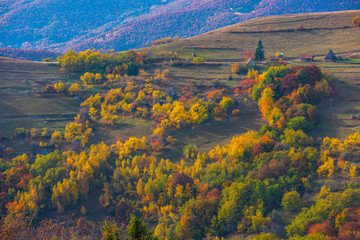 Colorful autumn landscape