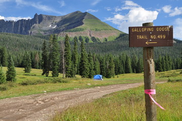 Lizard Head Pass, San Miguel Valley, near Ouray and Telluride, Colorado