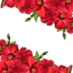 Beautiful floral background with hibiscus and carnations 