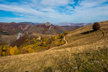 Obraz premium Autumn countryside landscape