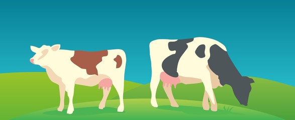 Cow on green background. Vector flat illustration