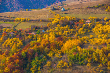 Autumn scene in the mountains