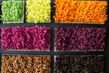 Samples of a multi-colored carpet