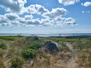 Fototapeta na wymiar Laesoe / Denmark: View from the dune at Bloeden Hale over the coastal salt marsh and the wide bay called Boved Bugt