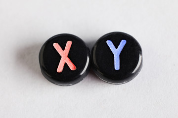 XY letters, concept of XY chromosomes