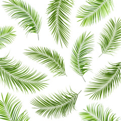 Set with fresh green palm leaves on white background