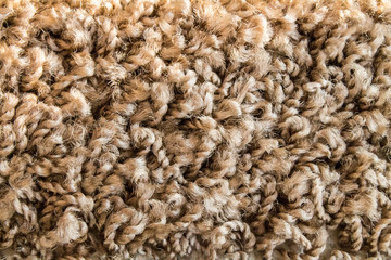 Samples of a multi-colored carpet, an example of pile and carpet color